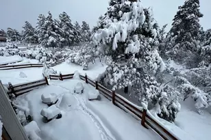 19663 Lindenmere Dr, Monument, CO 80132 - Photo 38