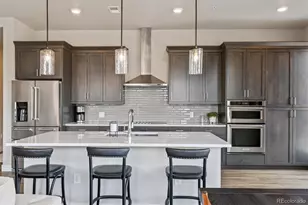 20 Wilcox Street, Castle Rock, CO 80104 - Photo 2