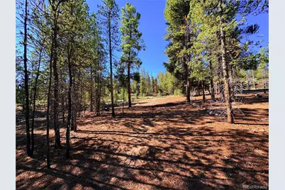 399 Lodgepole Drive, Leadville, CO 80461 - Photo 4