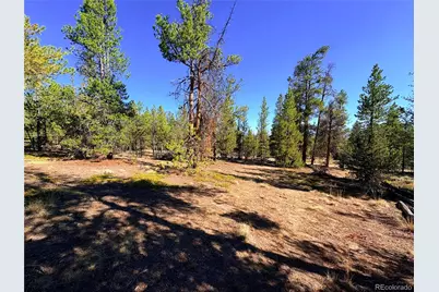 399 Lodgepole Drive, Leadville, CO 80461 - Photo 6
