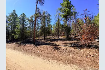 399 Lodgepole Drive, Leadville, CO 80461 - Photo 8