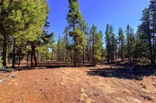 399 Lodgepole Dr, Leadville, CO 80461 - Photo 1
