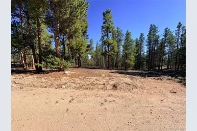 399 Lodgepole Drive, Leadville, CO 80461 - Photo 2