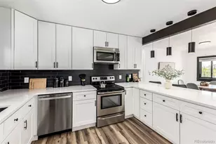 2731 Roosevelt Ave, Thornton, CO 80229 - Photo 12