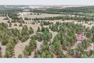 8653 N Teacup Road, Elbert, CO 80106 - Photo 12