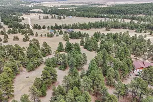 8653 N Teacup Rd, Elbert, CO 80106 - Photo 12