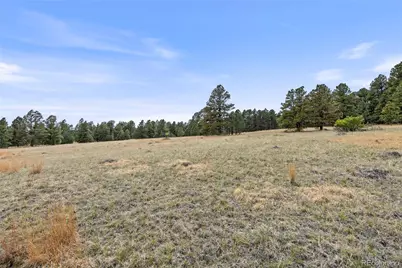 8653 N Teacup Road, Elbert, CO 80106 - Photo 6