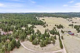 8653 N Teacup Rd, Elbert, CO 80106 - Photo 10
