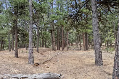 8653 N Teacup Road, Elbert, CO 80106 - Photo 4