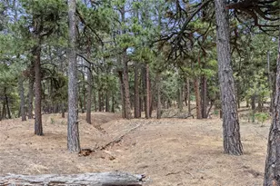8653 N Teacup Rd, Elbert, CO 80106 - Photo 4