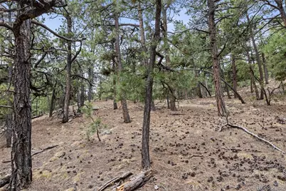 8653 N Teacup Road, Elbert, CO 80106 - Photo 2