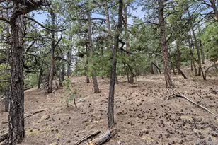 8653 N Teacup Rd, Elbert, CO 80106 - Photo 2