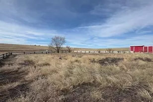 7961 Co Rd 2A, Rush, CO 80833 - Photo 4