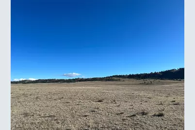 4558 Clear Creek Road, Hartsel, CO 80449 - Photo 2