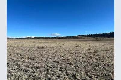 4558 Clear Creek Road, Hartsel, CO 80449 - Photo 10