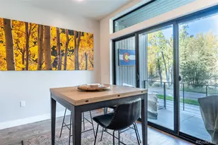 930 Blue River Pkwy, Silverthorne, CO 80498 - Photo 18