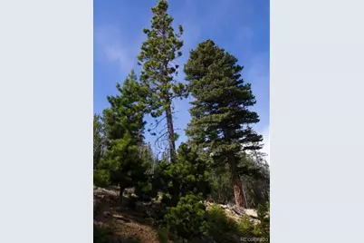 111 Collateral Claim, Idaho Springs, CO 80452 - Photo 6