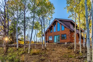 61 Idaho Ct, Como, CO 80432 - Photo 6