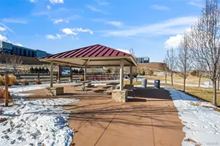 8474 Parkland St, Broomfield, CO 80021 - Photo 24