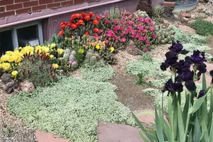 7028 Otis Ct, Arvada, CO 80003 - Photo 40