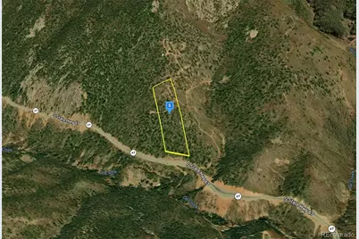 13100 Co-67, Cripple Creek, CO 80813 - Photo 2