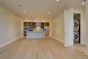 250 N Columbine Street, Denver, CO 80206 - Photo 8