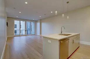 250 N Columbine Street, Denver, CO 80206 - Photo 2