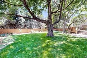 2413 Pine Needle Ct, Fort Collins, CO 80528 - Photo 44