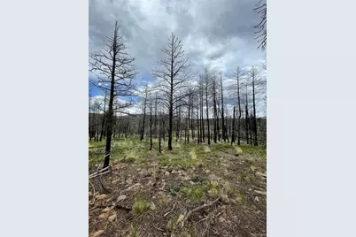 533 Leslie Loop, Fort Garland, CO 81133 - Photo 10