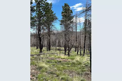 533 Leslie Loop, Fort Garland, CO 81133 - Photo 2