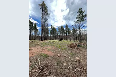 533 Leslie Loop, Fort Garland, CO 81133 - Photo 14