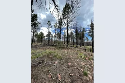 533 Leslie Loop, Fort Garland, CO 81133 - Photo 8