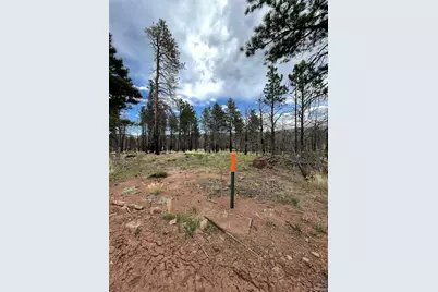 533 Leslie Loop, Fort Garland, CO 81133 - Photo 16