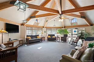 31819 Rocky Village Dr, Evergreen, CO 80439 - Photo 24