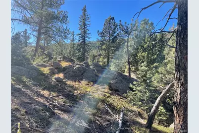 Shadow Mountain Drive, Conifer, CO 80433 - Photo 6