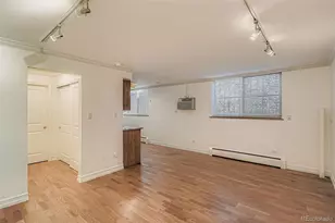 1330 Race St, Denver, CO 80206 - Photo 8