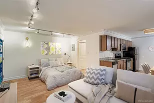 1330 Race St, Denver, CO 80206 - Photo 12