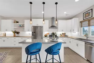 248 Clementina St, Louisville, CO 80027 - Photo 6