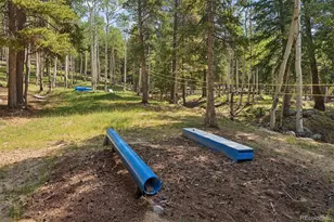 11102 Conifer Mountain Rd, Conifer, CO 80433 - Photo 34