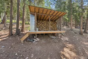 11102 Conifer Mountain Rd, Conifer, CO 80433 - Photo 42
