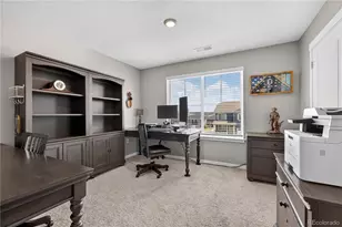 14225 Purple Aster Wy, Parker, CO 80134 - Photo 24