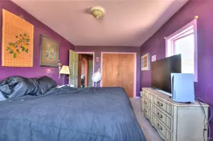 3960 Co Rd 5, Fairplay, CO 80440 - Photo 20