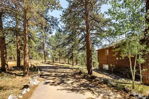 163 Buffum St, Bailey, CO 80421 - Photo 42