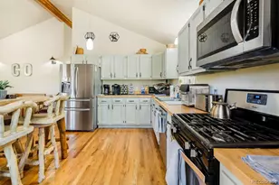 163 Buffum St, Bailey, CO 80421 - Photo 16