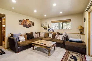 163 Buffum St, Bailey, CO 80421 - Photo 26