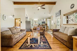 163 Buffum St, Bailey, CO 80421 - Photo 10