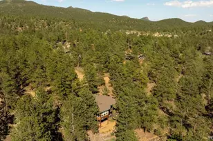 163 Buffum St, Bailey, CO 80421 - Photo 44