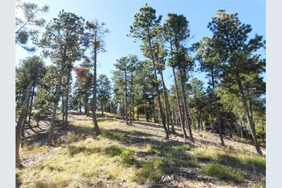 13886 Boulder Lane, Larkspur, CO 80118 - Photo 6