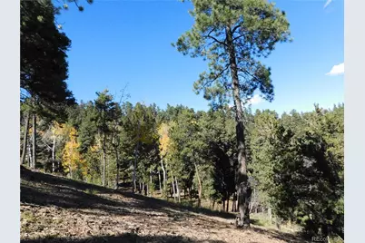 13886 Boulder Lane, Larkspur, CO 80118 - Photo 4