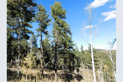 13886 Boulder Lane, Larkspur, CO 80118 - Photo 34